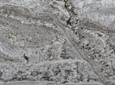 monte-cristo