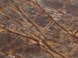 Rain Forest Brown