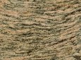 Tiger Skin